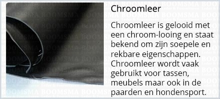 Chroomleer