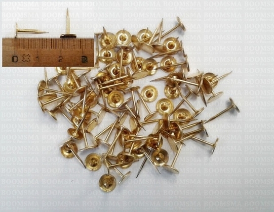 Button nails (no pliers available) per 100 pieces (gold colour) - pict. 2