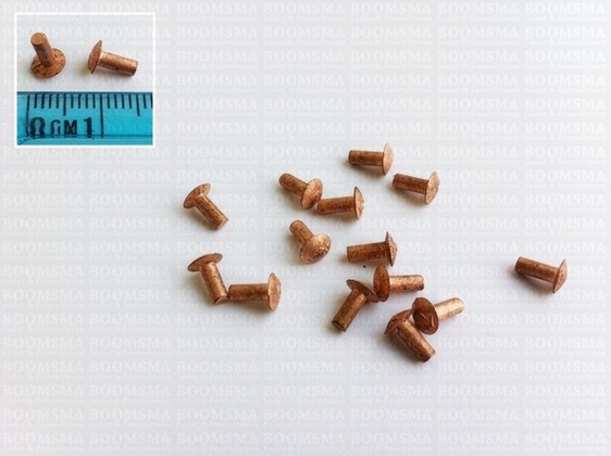 Copper rivets small 100 pieces - pict. 2
