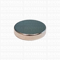 Magnet disk blind Ø 10 thickness 2 mm  (ea)