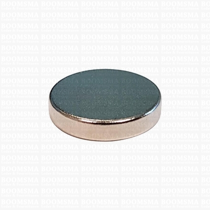 Magnet disk blind Ø 10 thickness 2 mm  (ea) - pict. 1