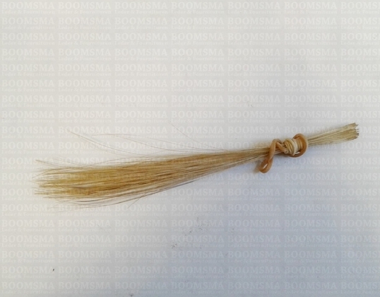 Pighair bristle (Authentic) natural per 20 hairs approx. 12,5 cm smalle haren - pict. 2